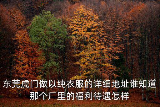 東莞虎門做以純衣服的詳細地址誰知道那個廠里的福利待遇怎樣