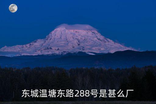 東城溫塘東路288號是甚么廠