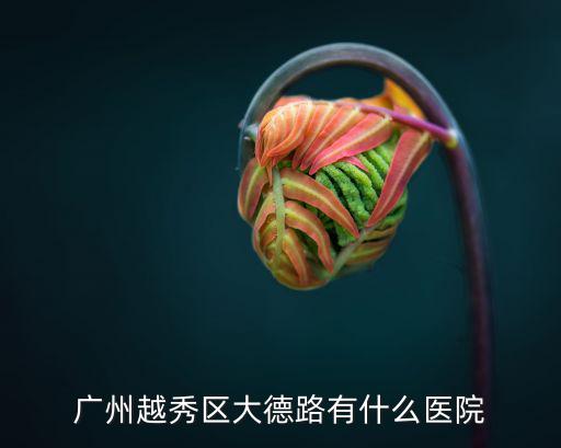 廣州市越秀區醫院，廣州越秀區大德路有什么醫院