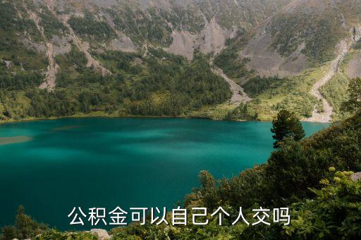 個人繳納公積金，個人公積金怎么交