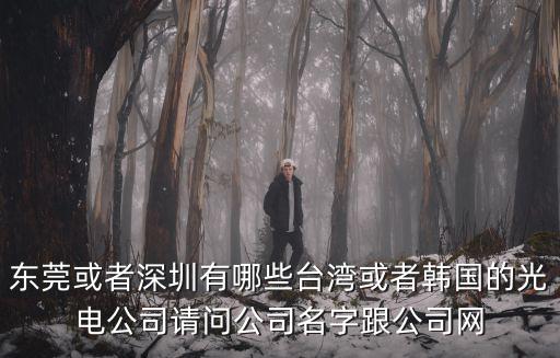 東莞或者深圳有哪些臺灣或者韓國的光電公司請問公司名字跟公司網