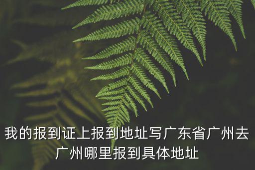 我的報到證上報到地址寫廣東省廣州去廣州哪里報到具體地址