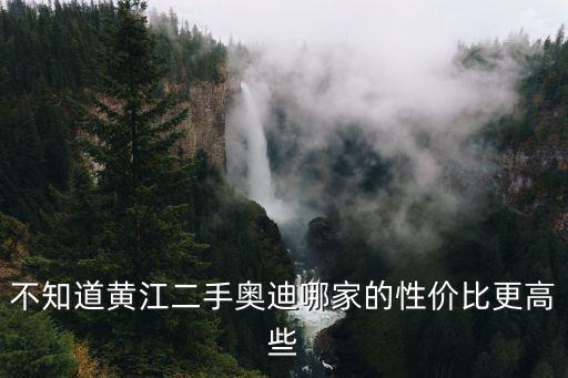 東莞黃江那里有買大型犬，不知道黃江二手奧迪哪家的性價比更高些