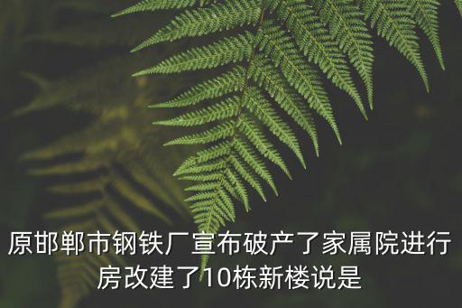 原邯鄲市鋼鐵廠宣布破產了家屬院進行房改建了10棟新樓說是