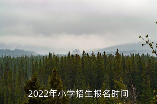 2022年小學招生報名時間