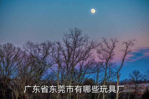 東莞 玩具 有限公司，東莞市順聯(lián)玩具廠