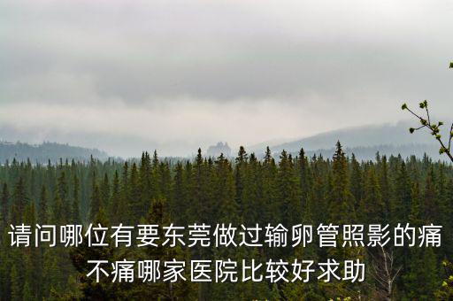 請(qǐng)問(wèn)哪位有要東莞做過(guò)輸卵管照影的痛不痛哪家醫(yī)院比較好求助