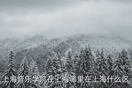 上海音樂學院在上海哪里在上海什么區