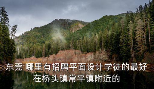 東莞 哪里有招聘平面設(shè)計(jì)學(xué)徒的最好在橋頭鎮(zhèn)常平鎮(zhèn)附近的