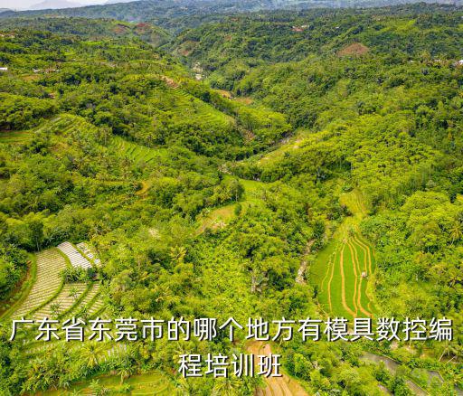 廣東省東莞市的哪個地方有模具數控編程培訓班