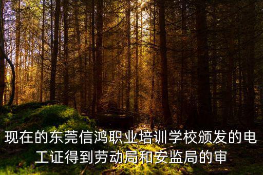 現(xiàn)在的東莞信鴻職業(yè)培訓(xùn)學(xué)校頒發(fā)的電工證得到勞動(dòng)局和安監(jiān)局的審