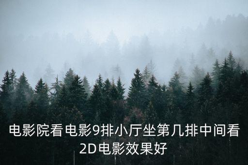 電影院看電影9排小廳坐第幾排中間看2D電影效果好