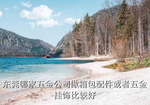 東莞哪家五金公司做箱包配件或者五金掛飾比較好