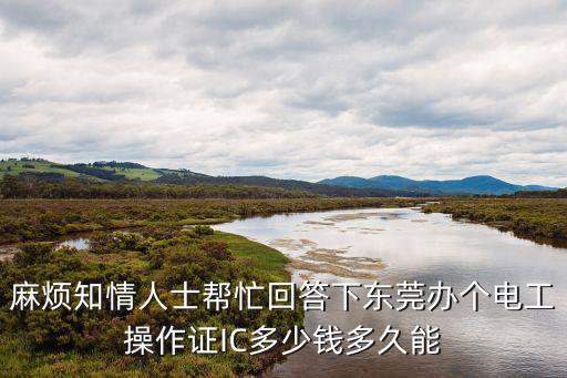 麻煩知情人士幫忙回答下東莞辦個電工操作證IC多少錢多久能