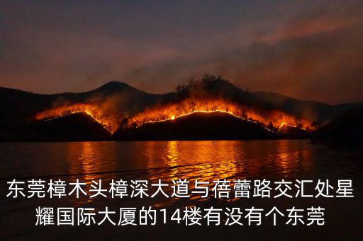 東莞樟木頭樟深大道與蓓蕾路交匯處星耀國際大廈的14樓有沒有個東莞