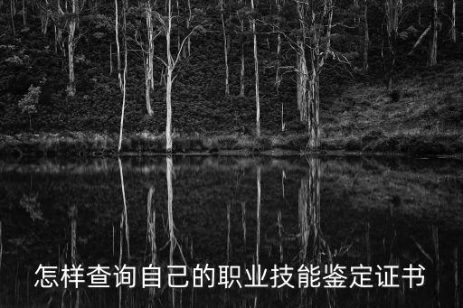 怎樣查詢(xún)自己的職業(yè)技能鑒定證書(shū)