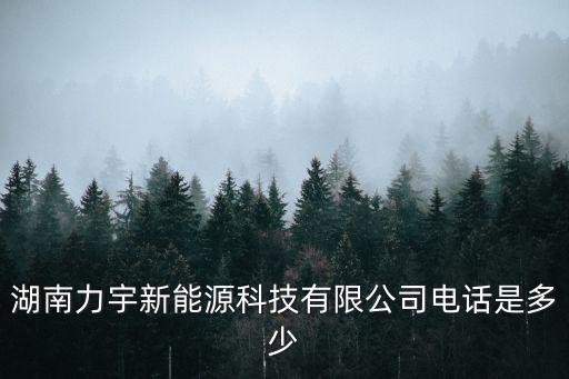 湖南力宇新能源科技有限公司電話是多少