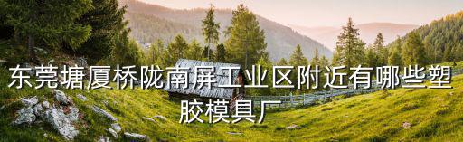 東莞塘廈橋隴南屏工業區附近有哪些塑膠模具廠