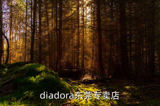 diadora東莞專賣店