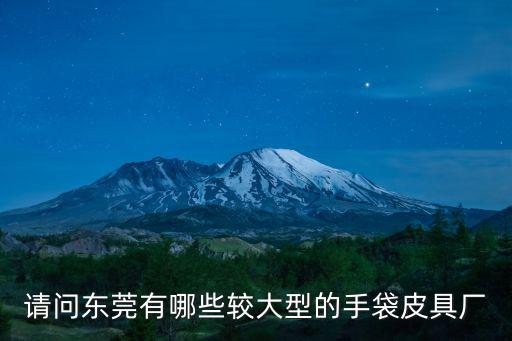 東莞南城手袋廠，東莞哪些地方手袋廠較多