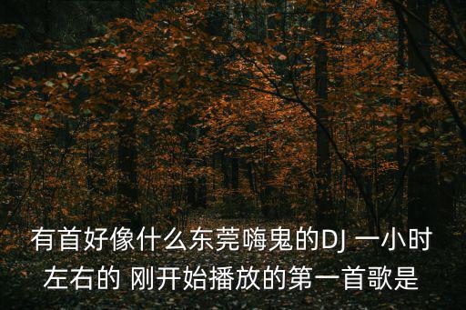 東莞第一麥方，有首好像什么東莞嗨鬼的DJ 一小時(shí)左右的 剛開始播放的第一首歌是