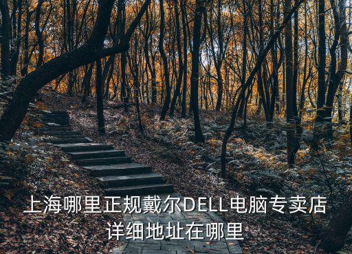 上海dell，上海哪里正規戴爾DELL電腦專賣店詳細地址在哪里