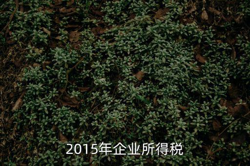 2015年企業(yè)所得稅