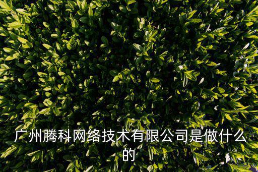  廣州騰科網(wǎng)絡(luò)技術(shù)有限公司是做什么的