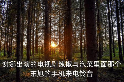 謝娜出演的電視劇辣椒與泡菜里面那個東旭的手機來電鈴音