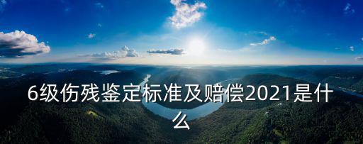 6級傷殘鑒定標準及賠償2021是什么