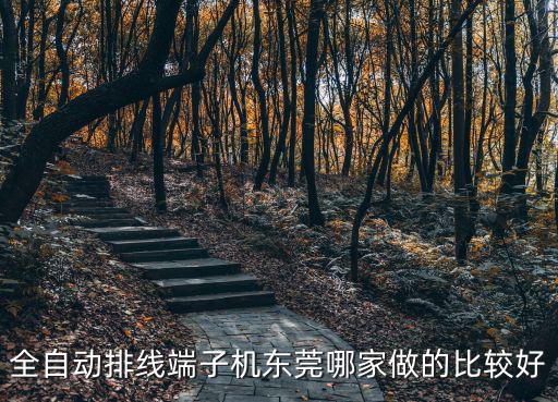 全自動排線端子機東莞哪家做的比較好