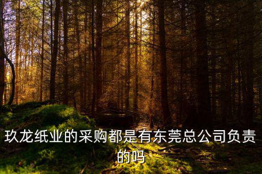 玖龍紙業(yè)的采購都是有東莞總公司負(fù)責(zé)的嗎