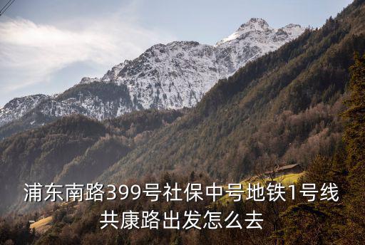 浦東南路399號(hào)社保中號(hào)地鐵1號(hào)線共康路出發(fā)怎么去