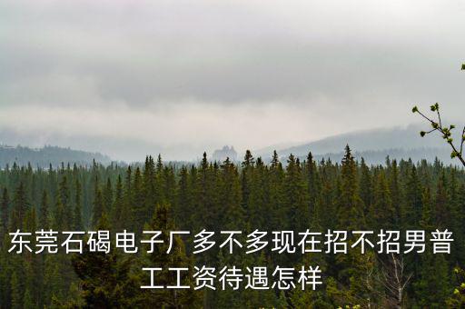 東莞石碣電子廠多不多現在招不招男普工工資待遇怎樣