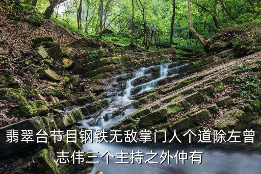 廣州人 tvb cctv，翡翠臺節目鋼鐵無敵掌門人個道除左曾志偉三個主持之外仲有