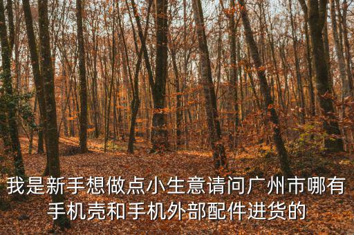 我是新手想做點小生意請問廣州市哪有手機殼和手機外部配件進貨的