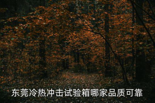 東莞冷熱沖擊試驗箱哪家品質可靠