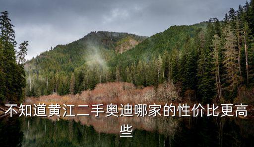 不知道黃江二手奧迪哪家的性價比更高些