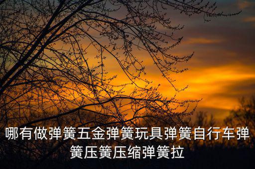 東莞市彩龍五金彈簧制造有限公司，哪有做彈簧五金彈簧玩具彈簧自行車彈簧壓簧壓縮彈簧拉