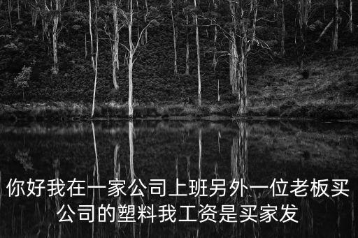 你好我在一家公司上班另外一位老板買公司的塑料我工資是買家發