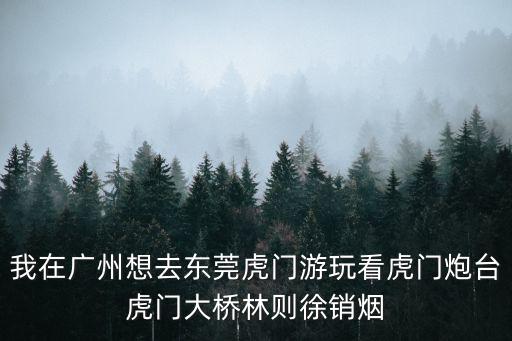 我在廣州想去東莞虎門游玩看虎門炮臺虎門大橋林則徐銷煙