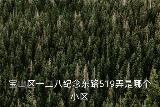 寶山區(qū)一二八紀(jì)念東路519弄是哪個(gè)小區(qū)