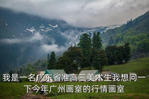 我是一名廣東省準高三美術生我想問一下今年廣州畫室的行情畫室