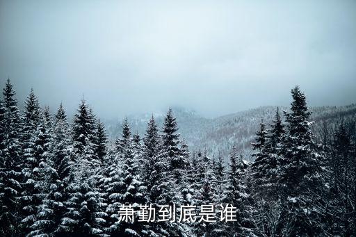 蕭勤到底是誰