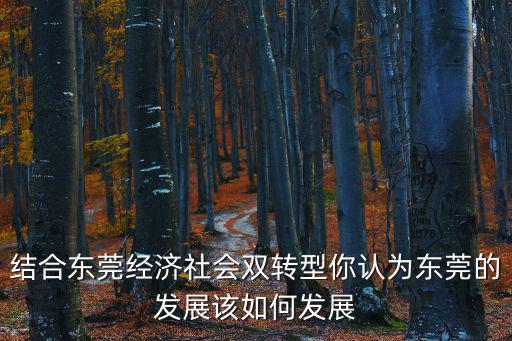結合東莞經濟社會雙轉型你認為東莞的發展該如何發展