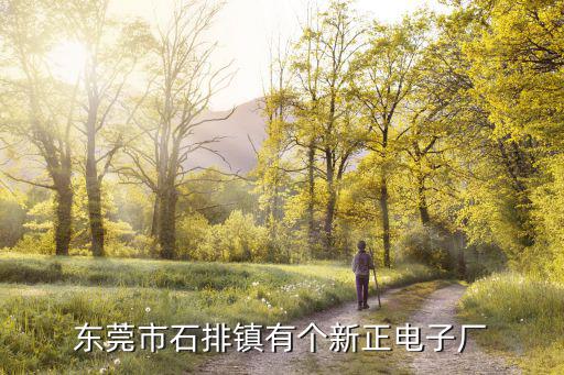 東莞市石排鎮有個新正電子廠