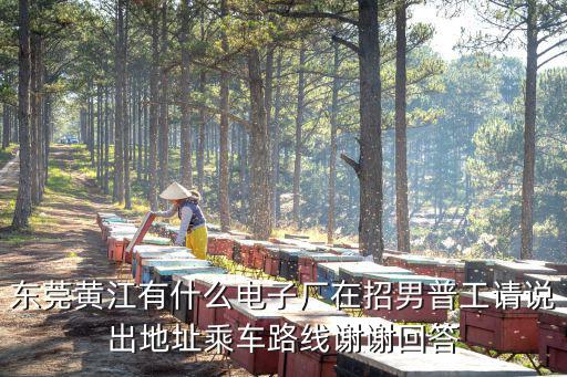 東莞黃江有什么電子廠在招男普工請(qǐng)說出地址乘車路線謝謝回答