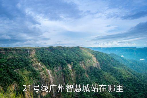 21號線廣州智慧城站在哪里