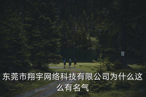 東莞市翔宇網絡科技有限公司為什么這么有名氣