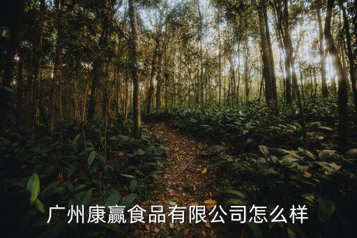 廣州康贏食品有限公司怎么樣